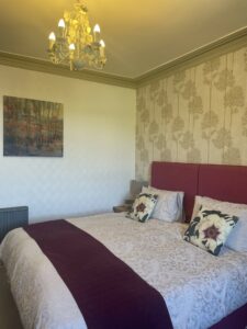 Room 2, Silver Birch, showing king sized bed, feature wall and painting.