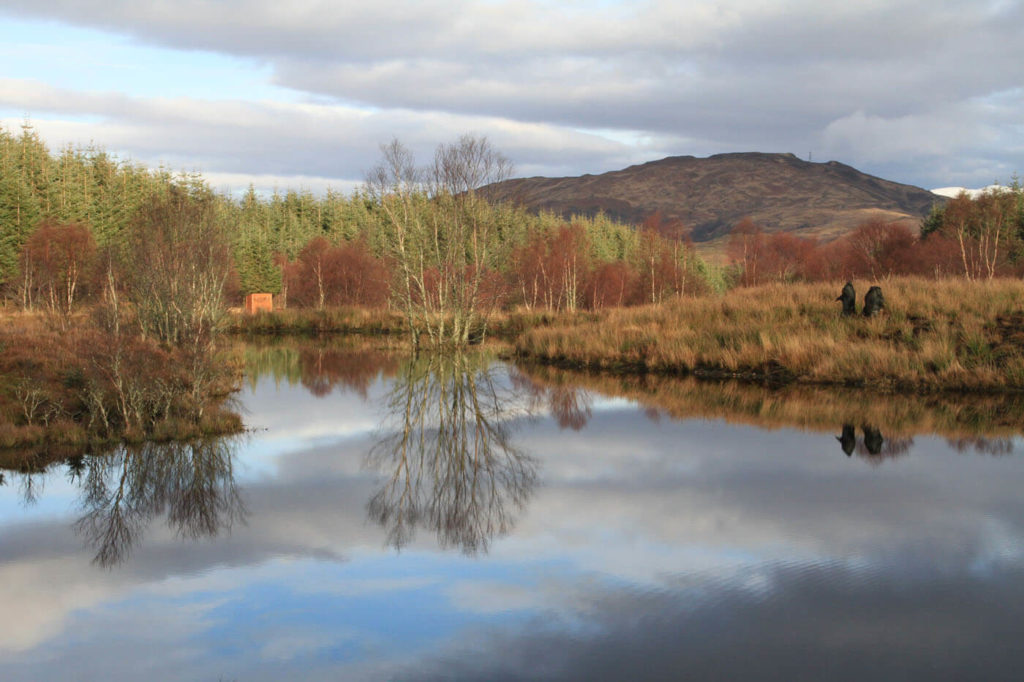 Small lochan at Highland Titles Nature Reserve